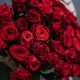 Букет 51 красная роза купить с доставкой в Санкт-Петербурге